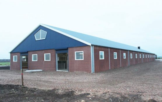 buitenkant_kalverenschuur_aannemersbedrijf_wielink_agrarische_bouw_2 bouw stal witvleesklaveren
